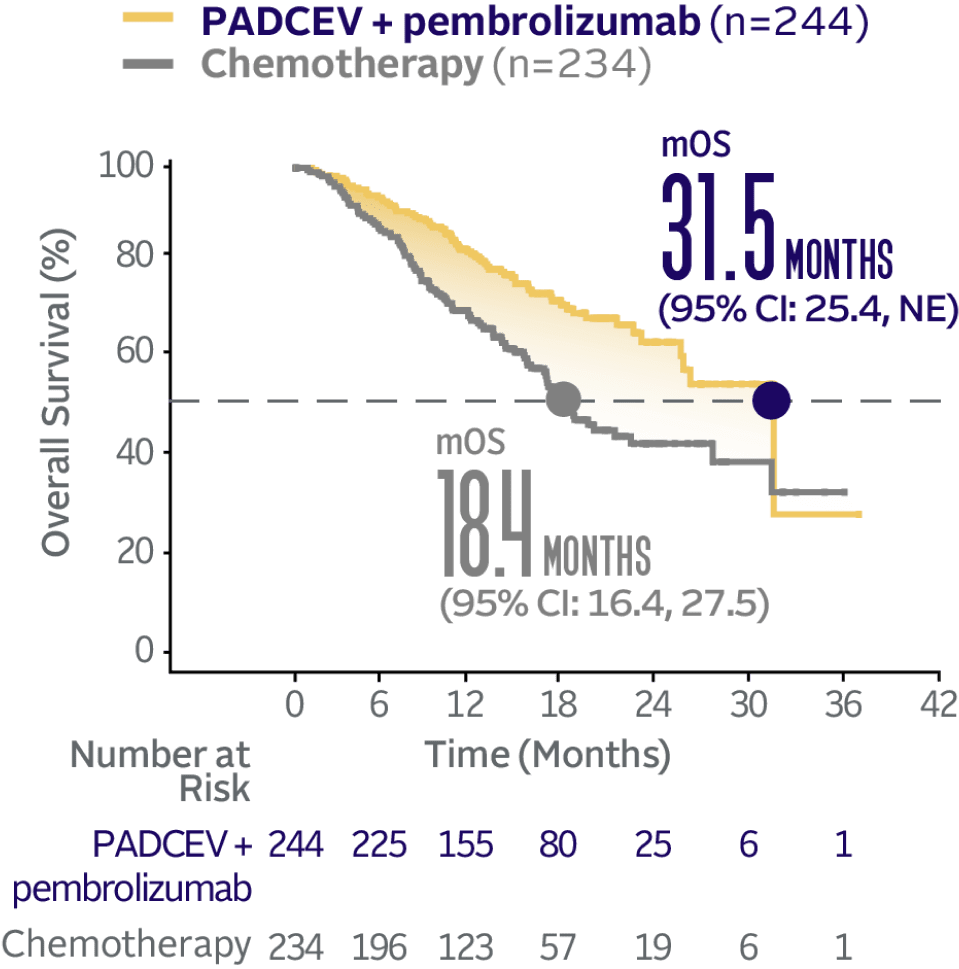 Graph showing EV-302 Subgroup OS: CISPLATIN ELIGIBLE 31.5 months median overall survival with PADCEV + pembrolizumab and 18.4 months median overall survival with chemotherapy.