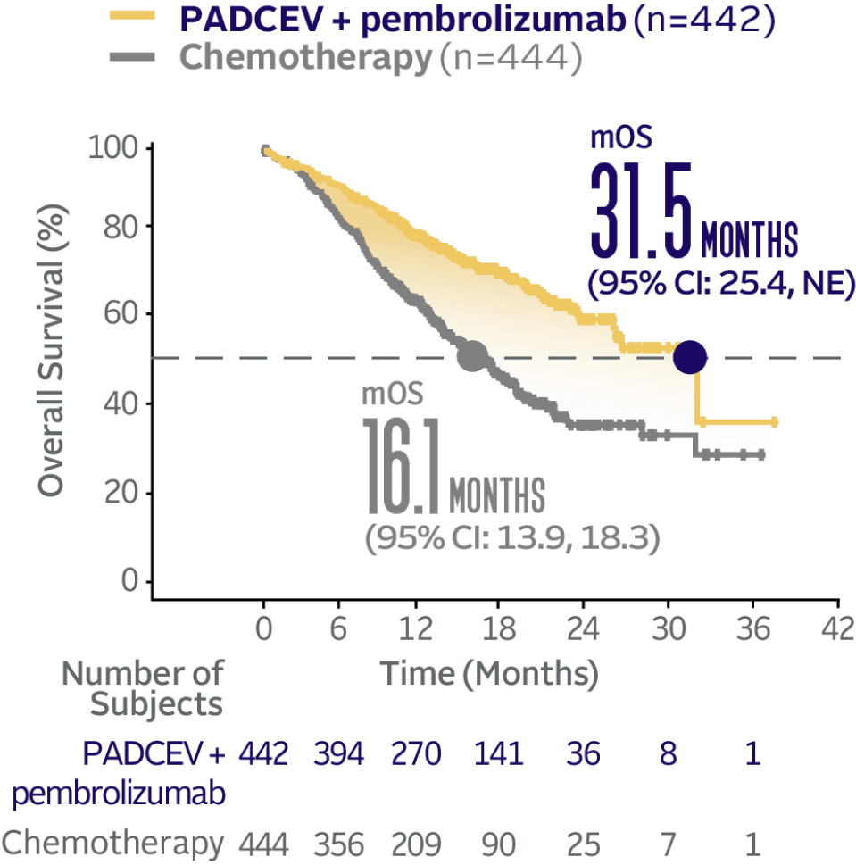 Graph showing 31.5 months median overall survival with PADCEV + pembrolizumab and 16.1 months median overall survival with chemotherapy.