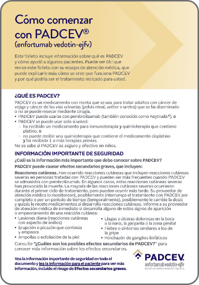 Spanish patient and caregiver brochure downloadable PDF.